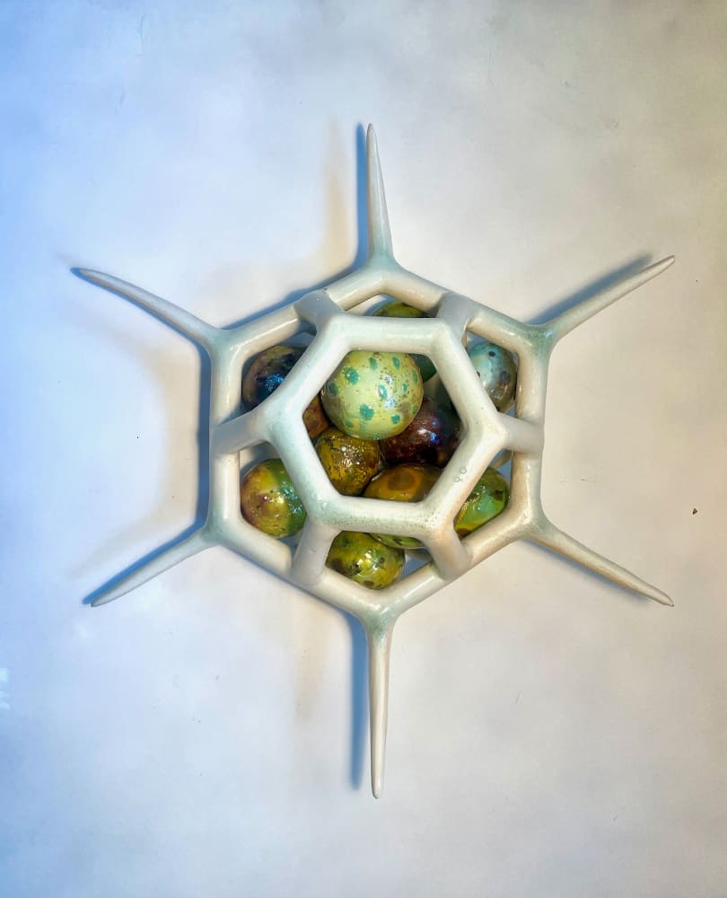 Silicoflagellate 1