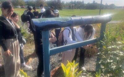 Hiroshima University: Torii Gates Year Two